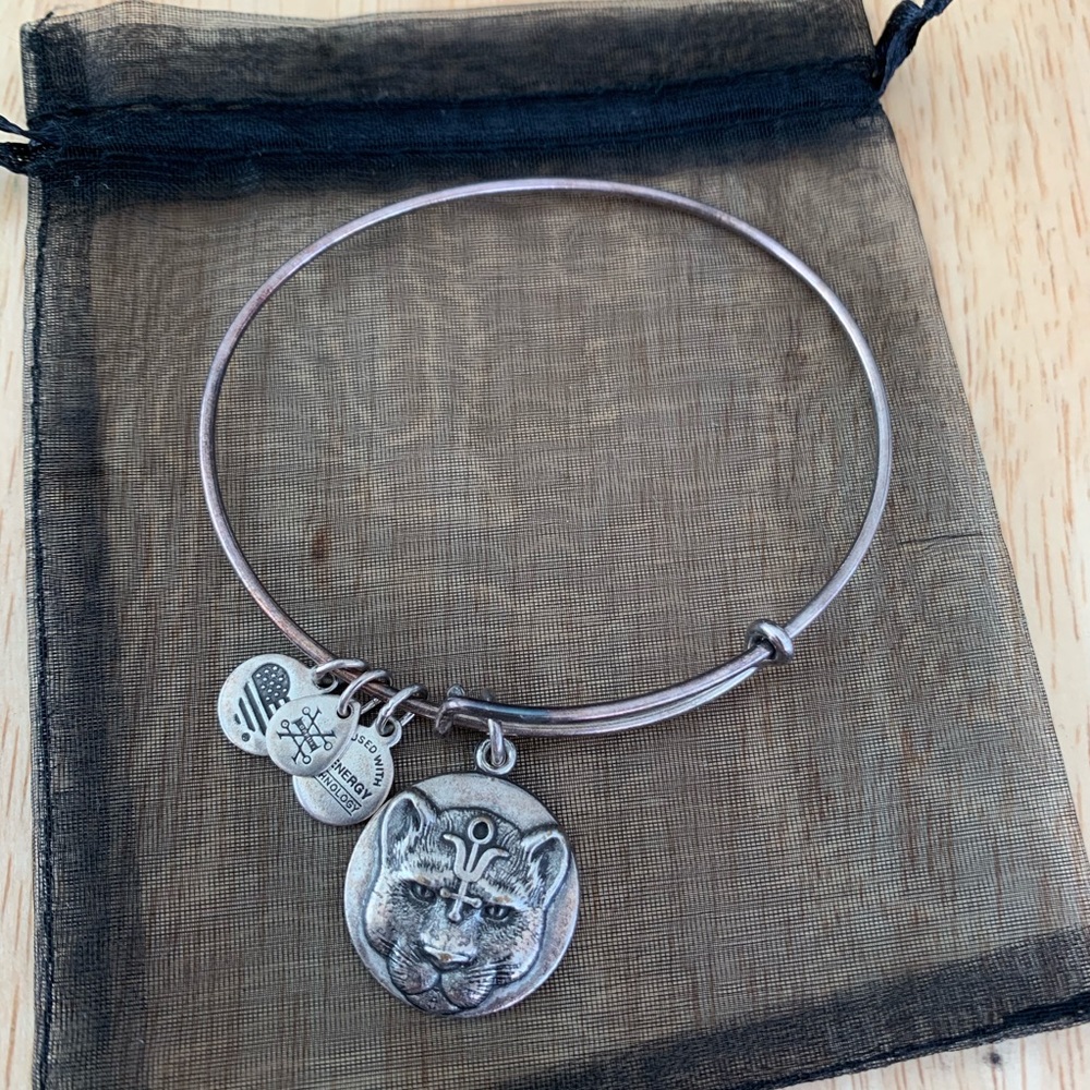 Alex and Ani Panther Charm Bangle Silver Retired